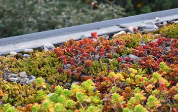 the cost of Dalchreichart green roof installation