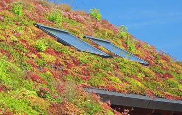 Dalchreichart living roof systems