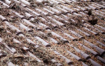 Dalchreichart roof cleaning companies