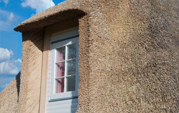 Dalchreichart thatch roof disadvantages