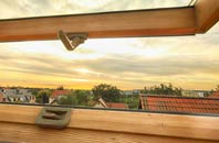 rated Dalchreichart roof window companies